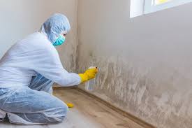 Trusted Big Lake, MN Mold Remediation Experts